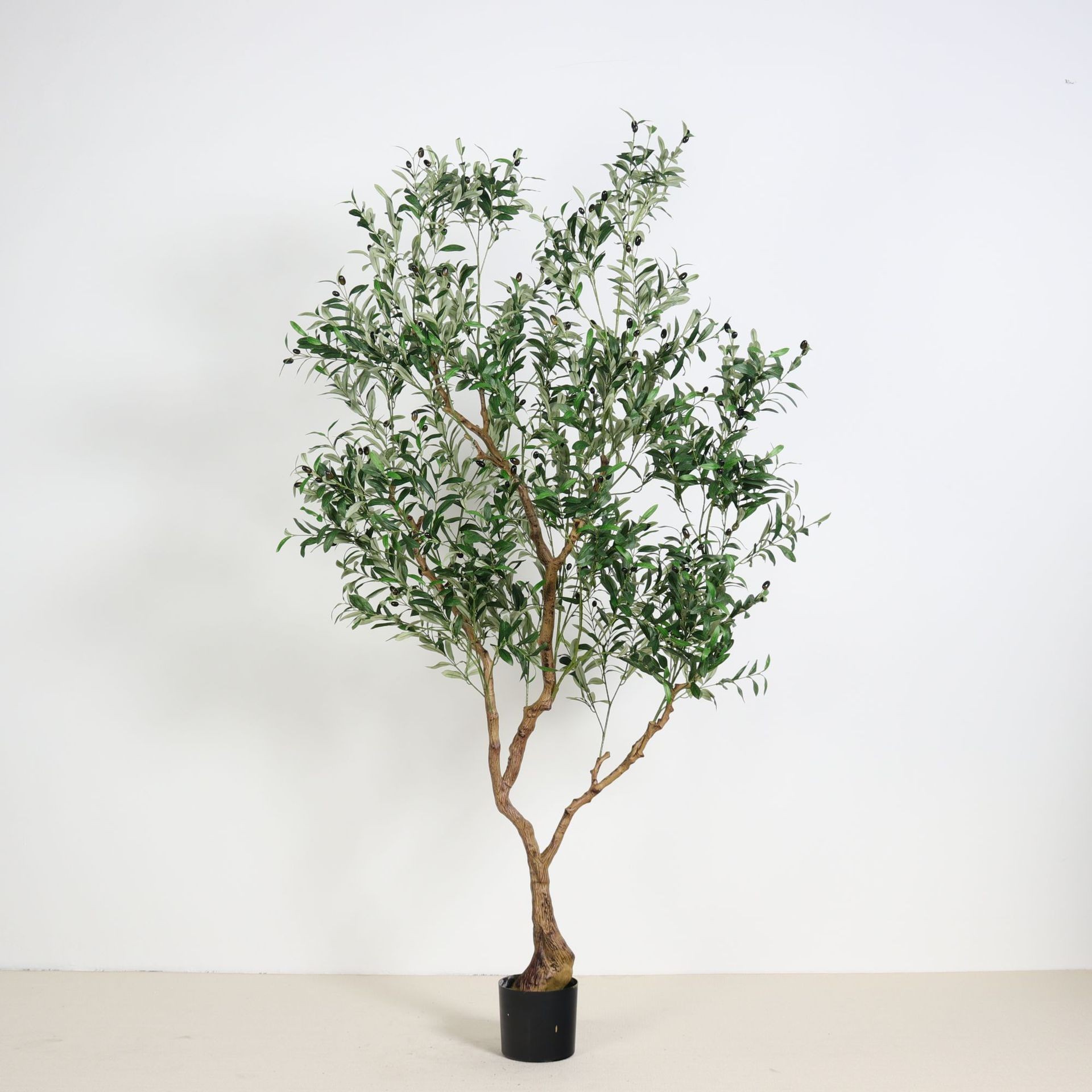 Green 210cm(6 Detachable Standard Buds)