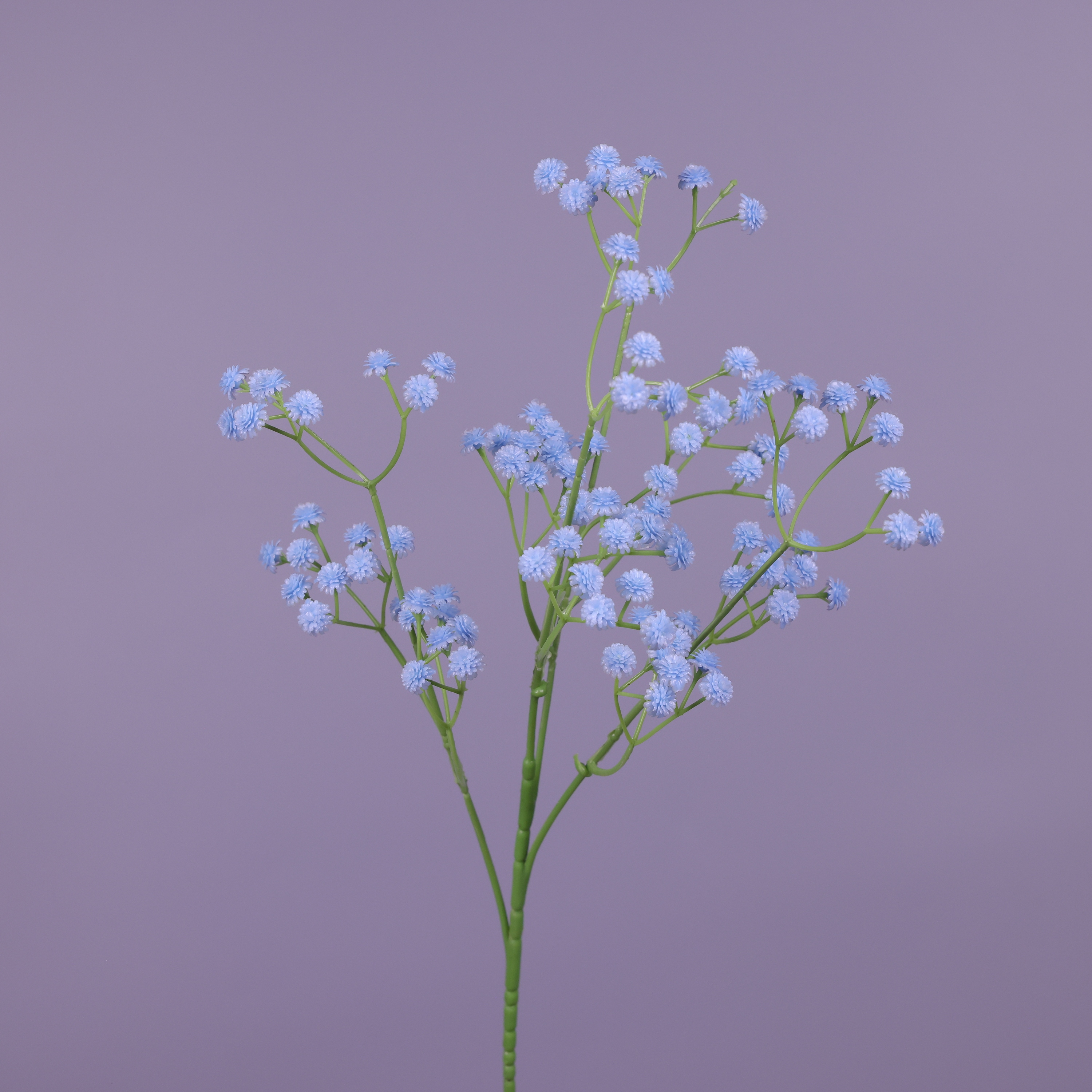 Blu-chiaro
