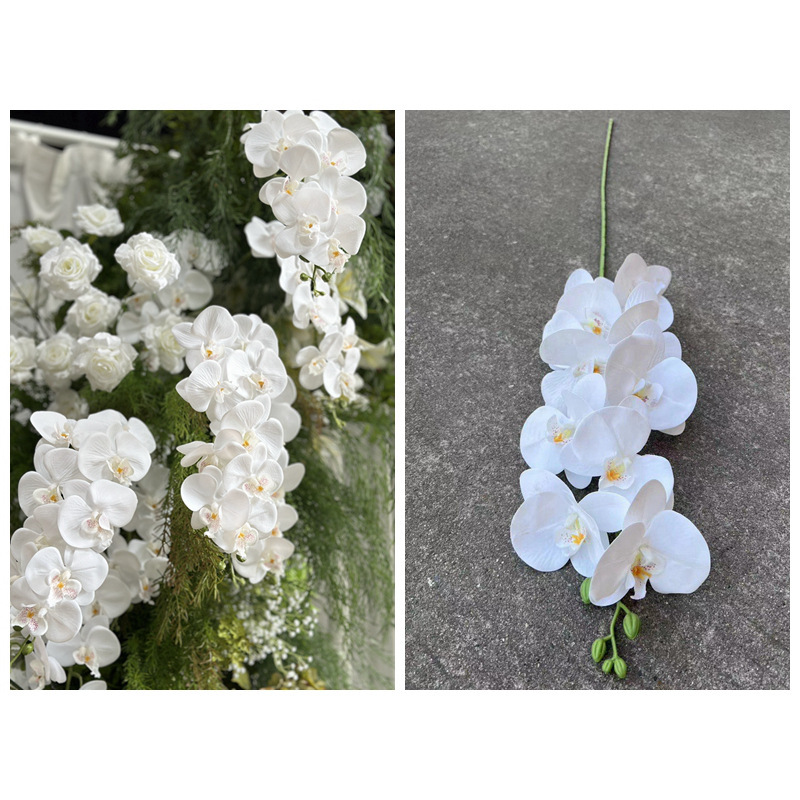 Orchidée Papillon 3D à 9 têtes, Blanc
