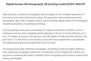 IN-Int DP Digital <strong>Human</strong> Model for Anatomy Teaching Medical School Students Training Tool - Product Image 5