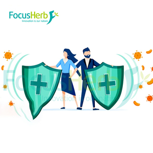 Camelia sinensis p.e לחלץ גלטה צ 'יננסיס לחלץ גלטה 99% חומצה גלית - Product Image 4