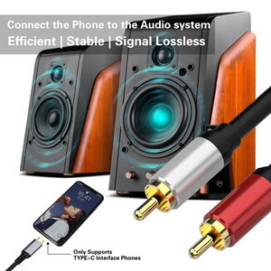 大江厂家批发RCA至USB C音频立体声Y分路器线USB C至2RCA公插孔插头适配器电缆 - Product Image 4