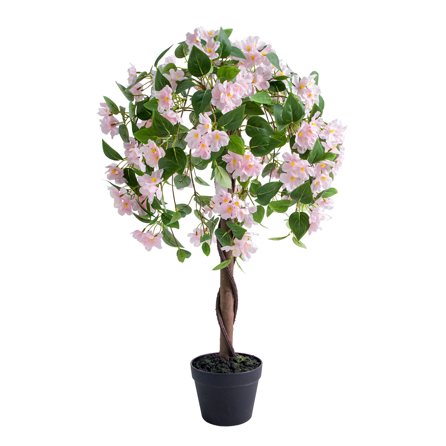 fiore di gelsomino rosa