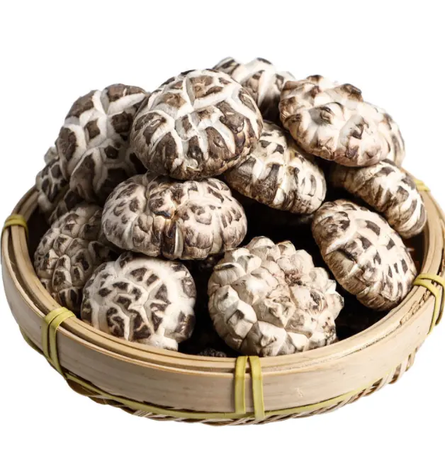 1kg d'approvisionnement en vrac de la Chine champignons comestibles secs shiitake séchés pour la nourriture