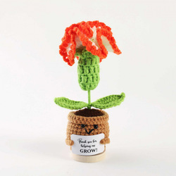 Carnation gradient orange