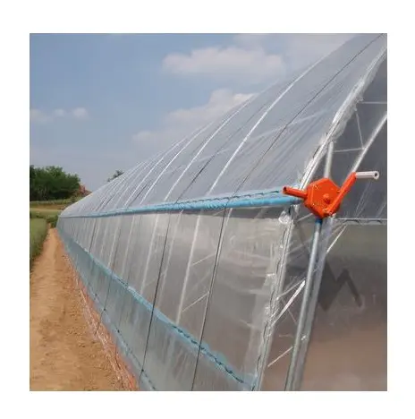 Chinese The Cheapest Price Small Single-span Multi-span Other Tunnel Agricultural Greenhouses For Sale