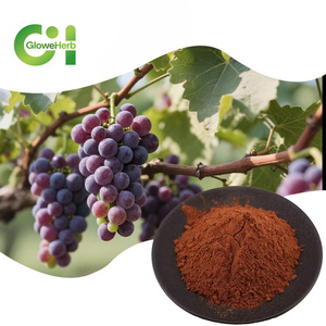 Cấp thực phẩm chất lượng cao chiết xuất hạt nho bột 98% - Product Image 1