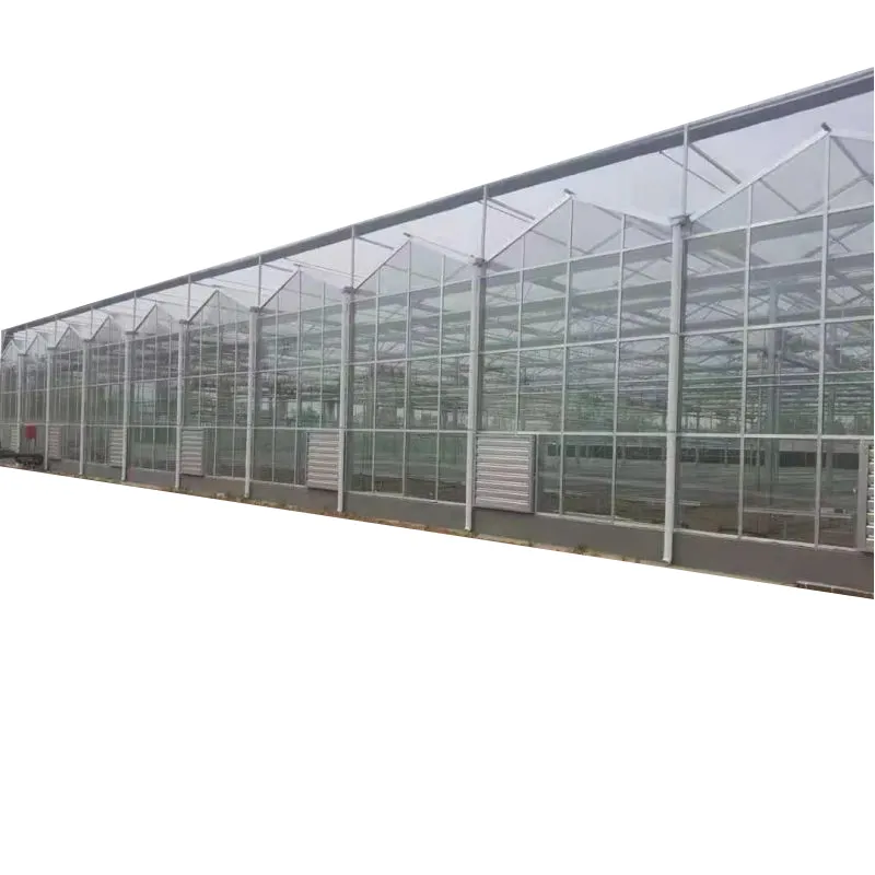 ZEWO Estufa Agrícola Turnkey Projeto Completo Vidro Multispan para Irrigação Por Gotejamento TOMATE Grande Máquina De Fertilizantes De Água