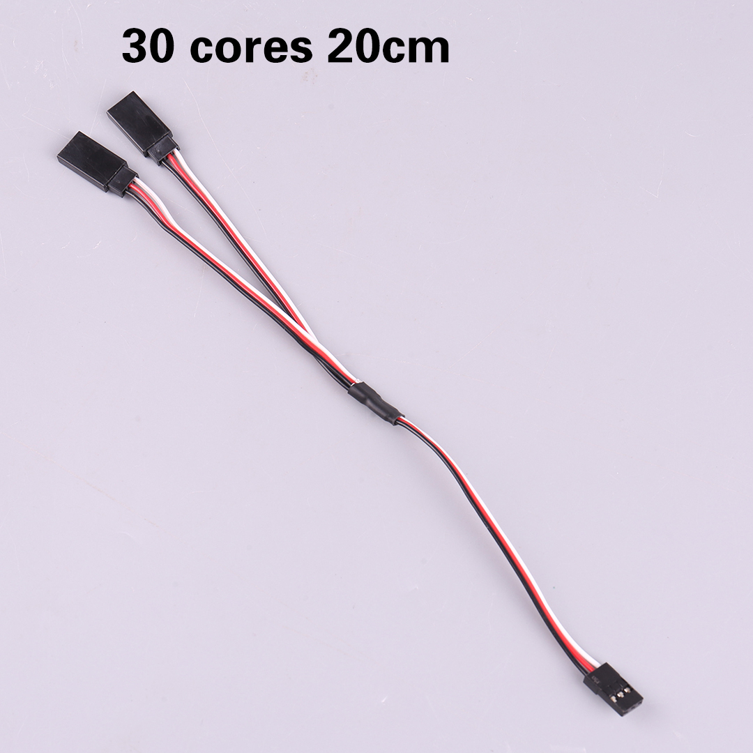 30 cœurs 20CM