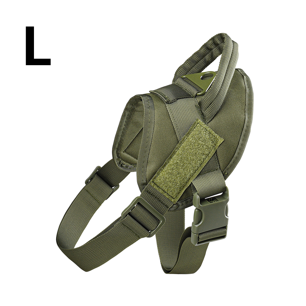 Amry Vert-L
