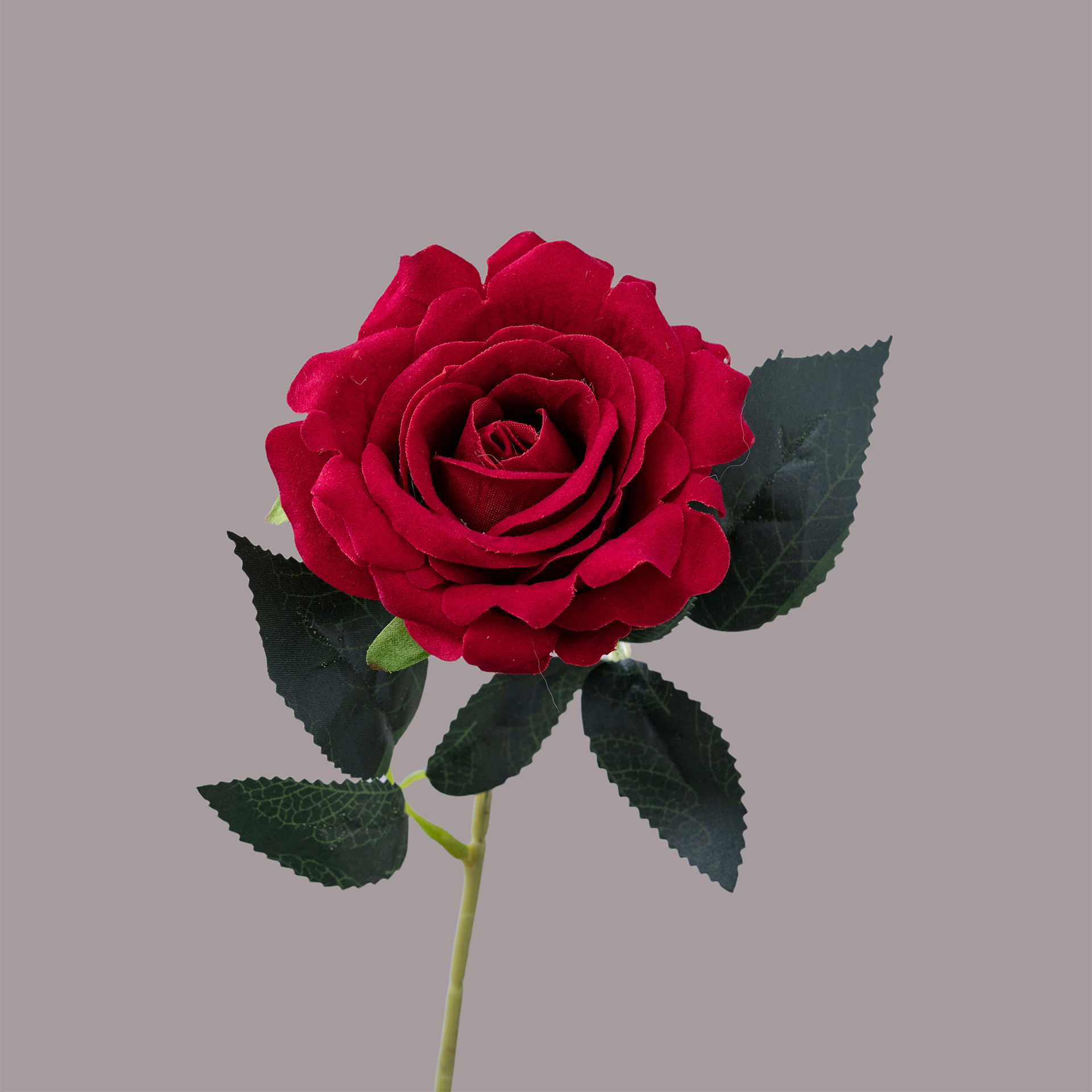 Rojo