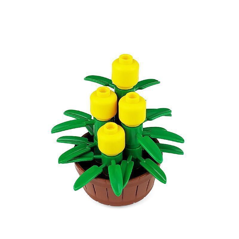 Bonsaï B