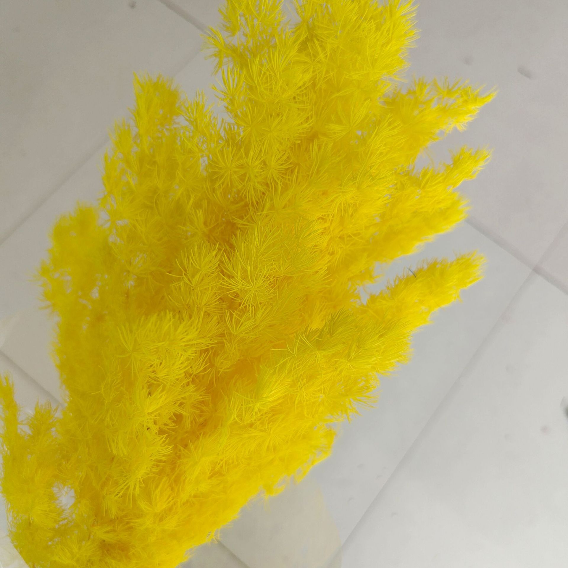 Light Yellow