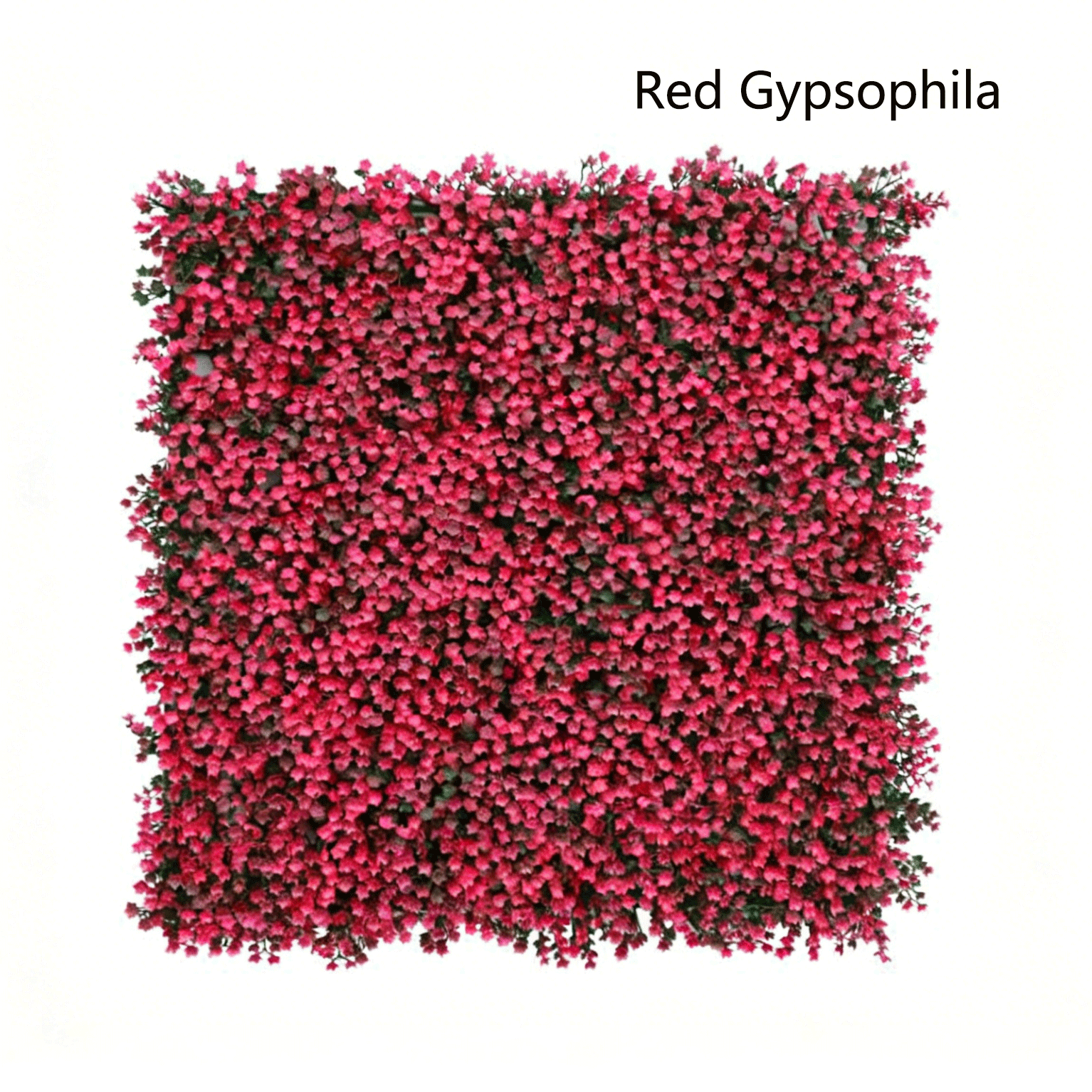 Gypsophile rouge