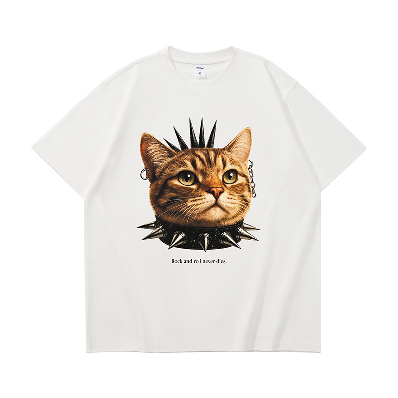 Chat de roche