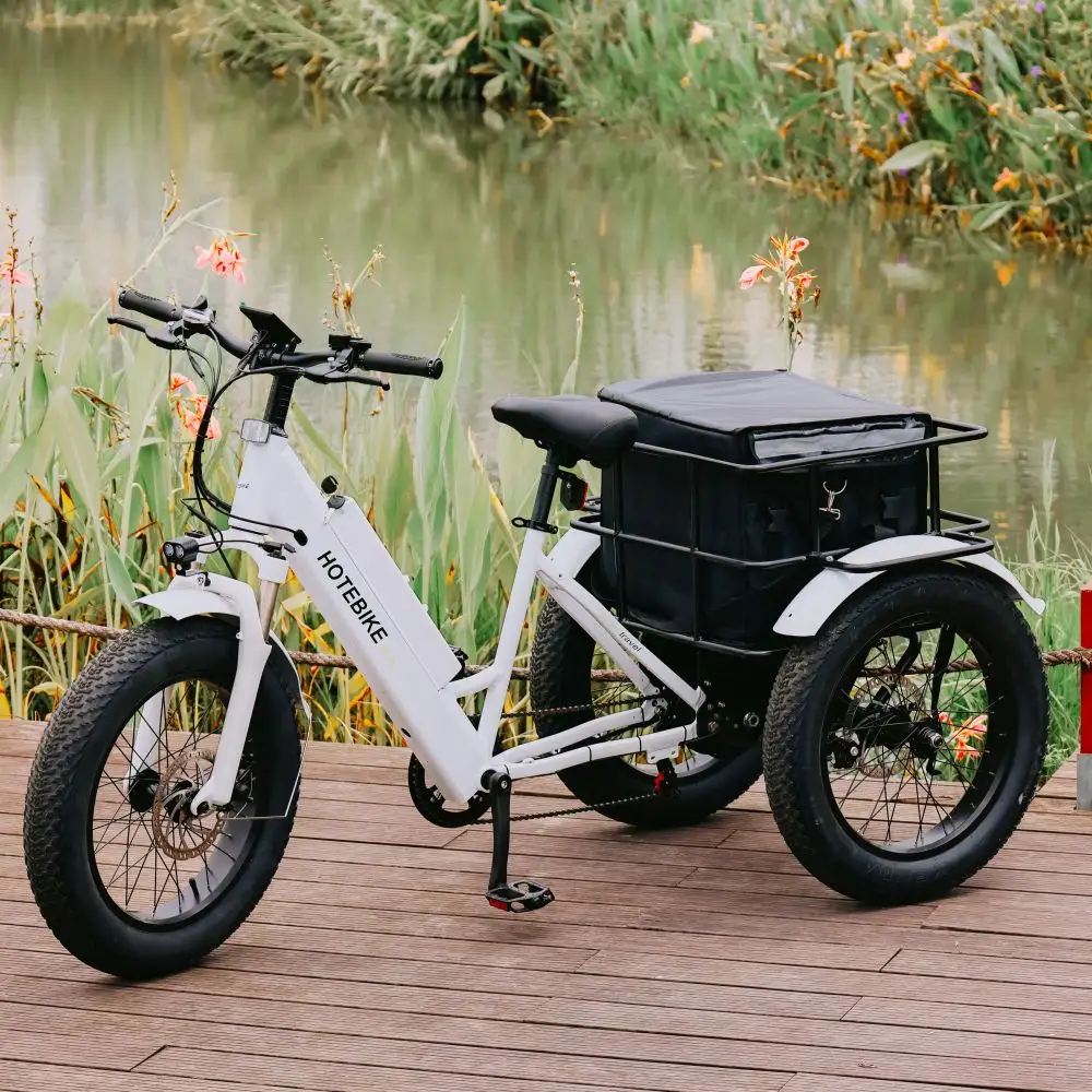 Bicicleta eléctrica de montaña para adulto, triciclo eléctrico de 3 ruedas de 24 "y 26", con Motor de 250w, extraíble de 36V y 10Ah