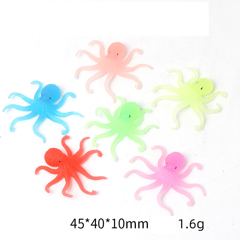 Octopus