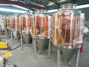ถังหมักเบียร์ทรงกรวยทรงกระบอกทำจากทองแดง5bbl โถหมักเบียร์พร้อม500L 1000L ปั๊มความจุ300L 100L เป็นส่วนประกอบหลัก - Product Image 2