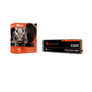 ZP4000GM3A013 unità a stato solido 2T NVMe Computer SSD Notebook PS5 Cool Play 530R Cache indipendente - Product Image 2