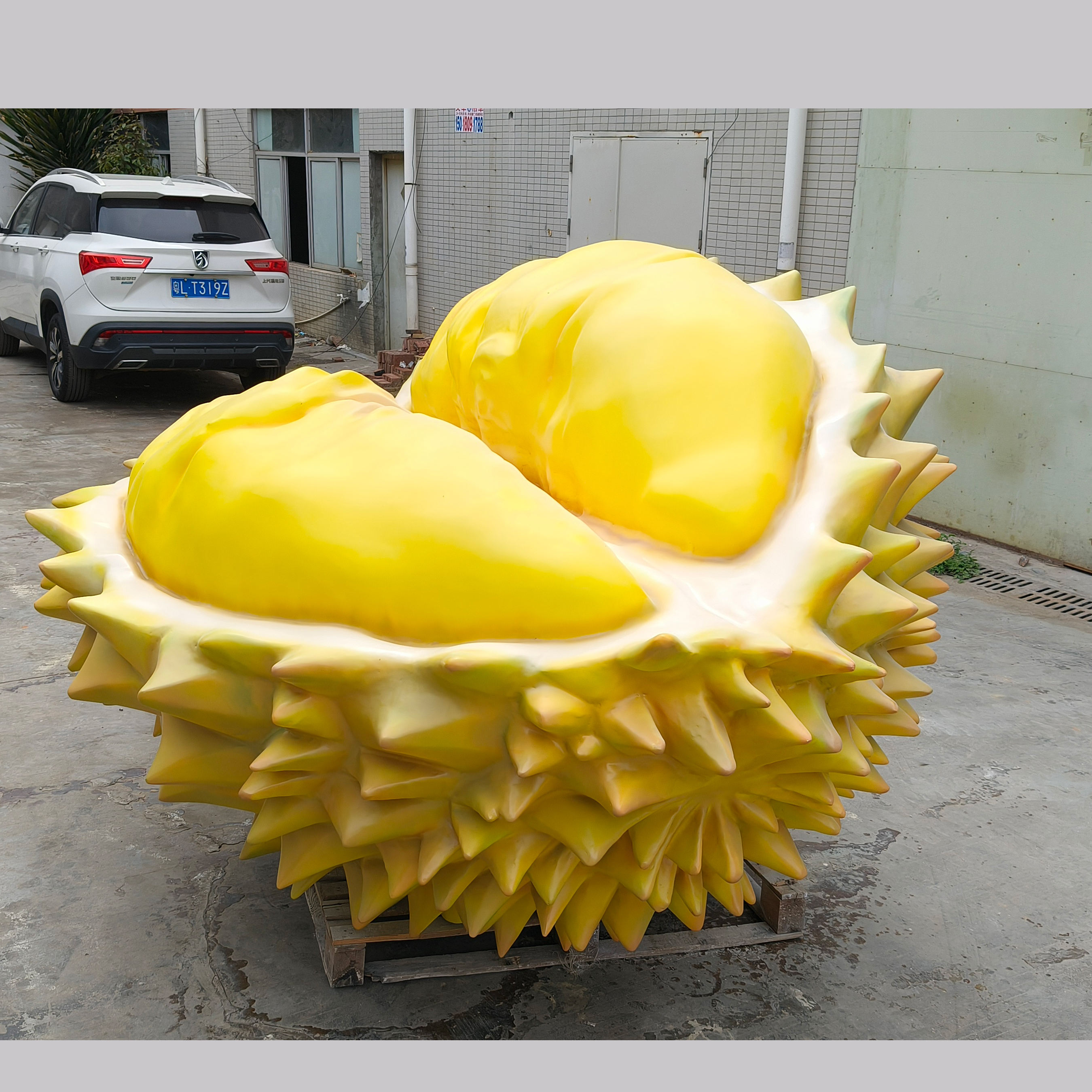 Custom size and color