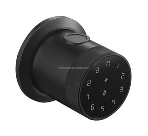 2025 Luxury Smart Door <strong>Lock</strong> Ttlock <strong>Blue</strong> Tooth Fingerprint Digital <strong>Key</strong> Card Smart Door <strong>Locks</strong> - Product Image 1
