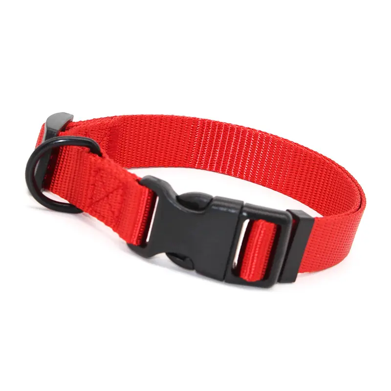 Basic Nylon Dog Collar Designer Solid Adjustable Puppy Pet Fancy Collars with ID Tag