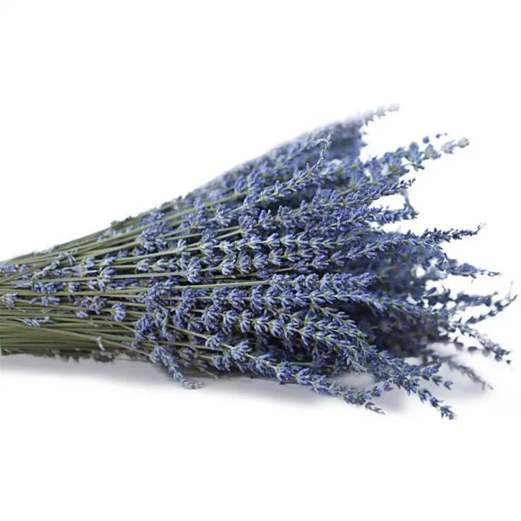 Großhandel dekorative echte Lavendel billige Blumen kaufen Haupt dekoration getrockneten Lavendel in loser Schüttung