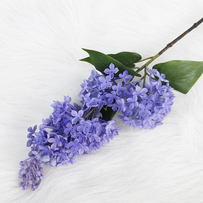Blu viola