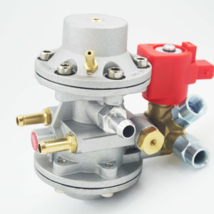 High Quality Compact Cng lpg Pressure Regulator Reducer for Gas Vehicle Auto Car Conversion Kit Generator Engine <strong>Parts</strong> - Product Image 1