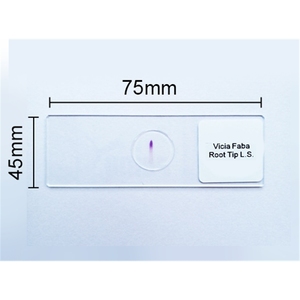 Factory Prepared Preparing <strong>Microscope</strong> <strong>Slides</strong> Biological Human Tissue Staining <strong>Microscope</strong> <strong>Slides</strong> Set for Medical Teaching - Product Image 5