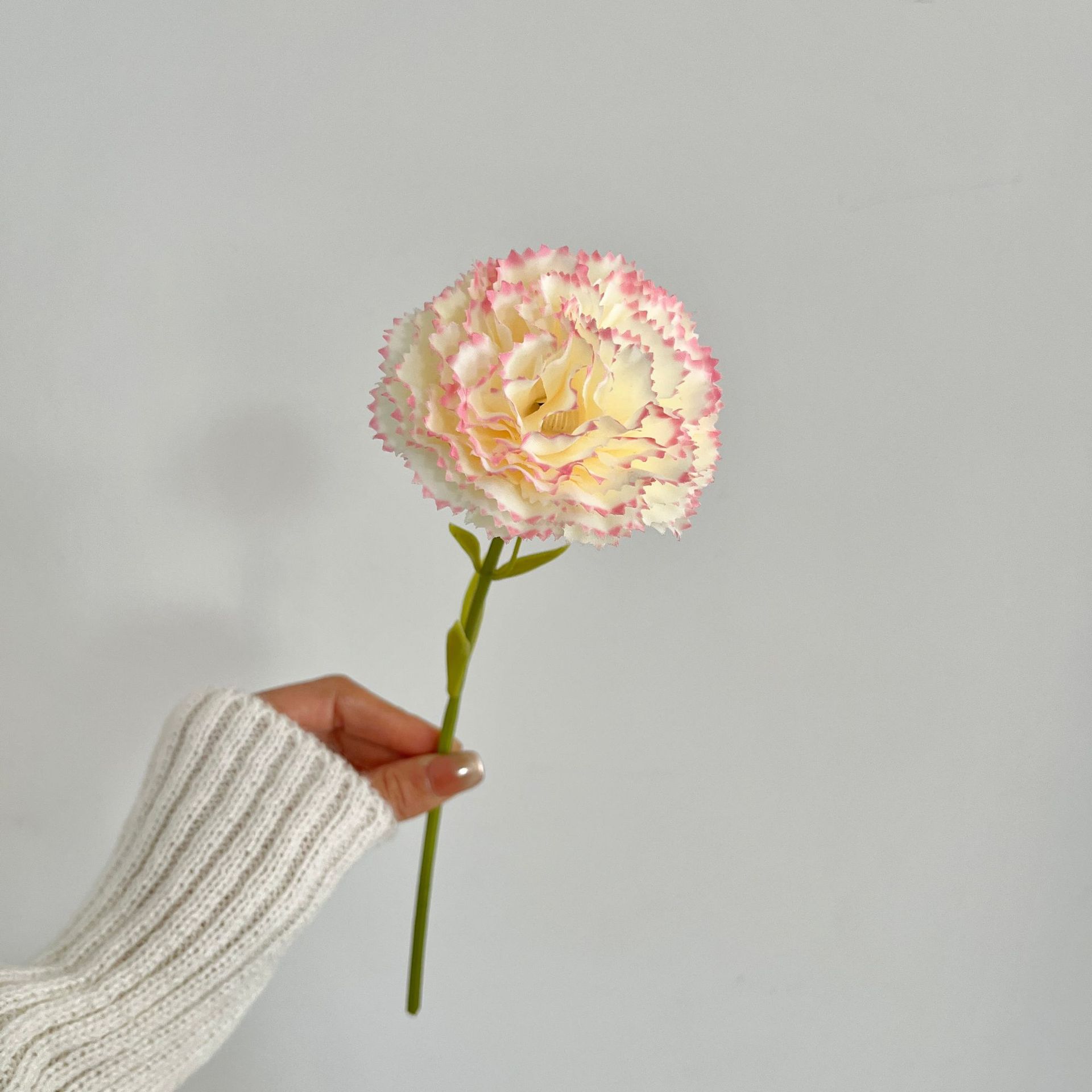 Rose dégradé