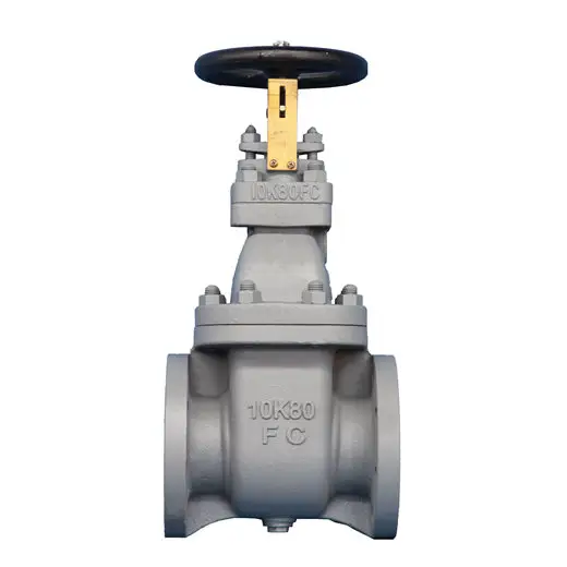JIS Cast iron 10K gate valve