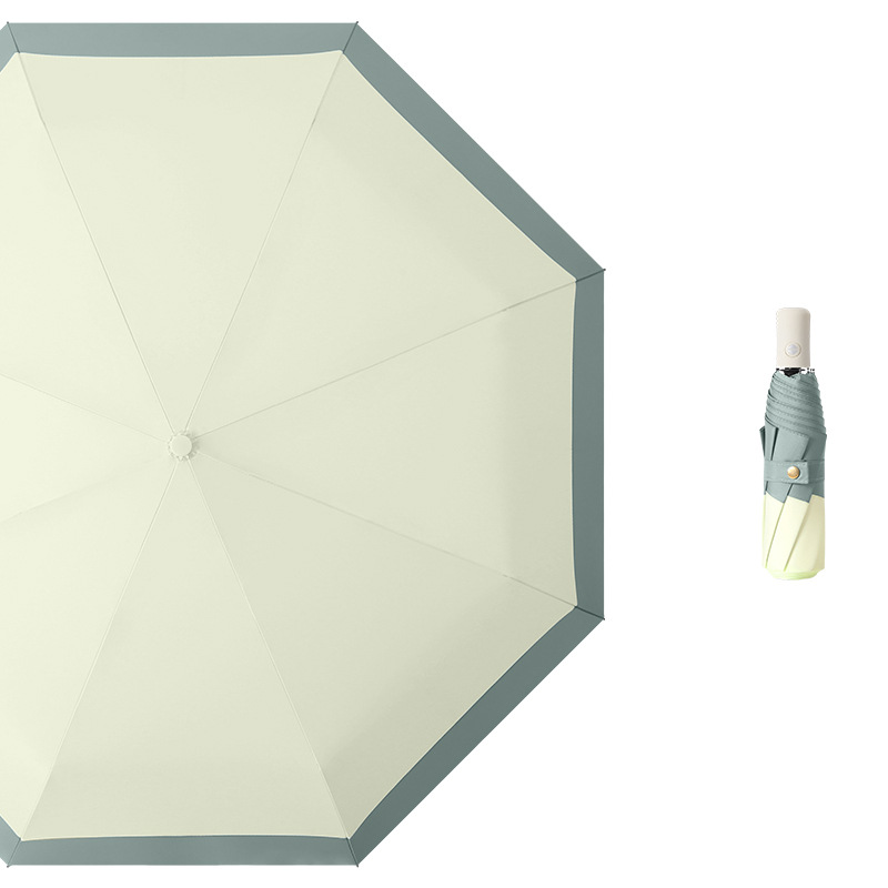 Bord vert brume matinale haut blanc