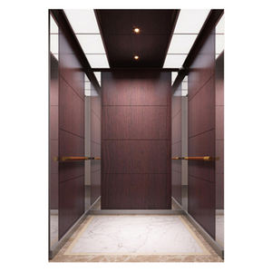 Liftdeur Dorpel Selcom Hydraulische Panoramische Swing Indoor Home - Product Image 1