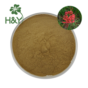 Puro naturale 10:1 rosso ragno giglio estratto in polvere/Lycoris Radiata estratto - Product Image 1