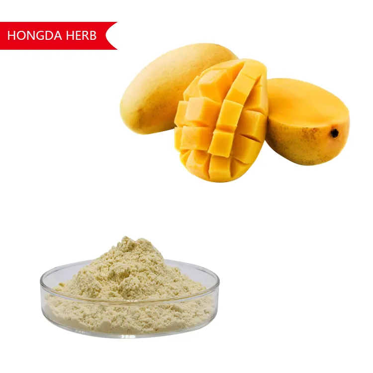 Hongda High-Quality Best Price Mango Powder