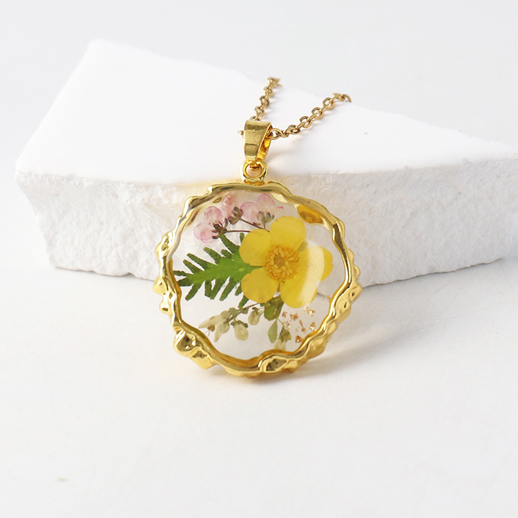 Ranunculus tomentosa doré