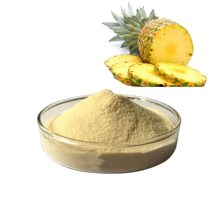 High Purity Natural Enzyme Bromelain Powder Economically Priced Pineapple Extract for Food Additives