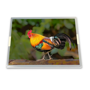 M150XN07 V2 M150XN07 V.2 tft lcd panel 15 "yansımasız 1024*768 CCFL 60Hz 20 pins TFT LCD ekran - Product Image 1