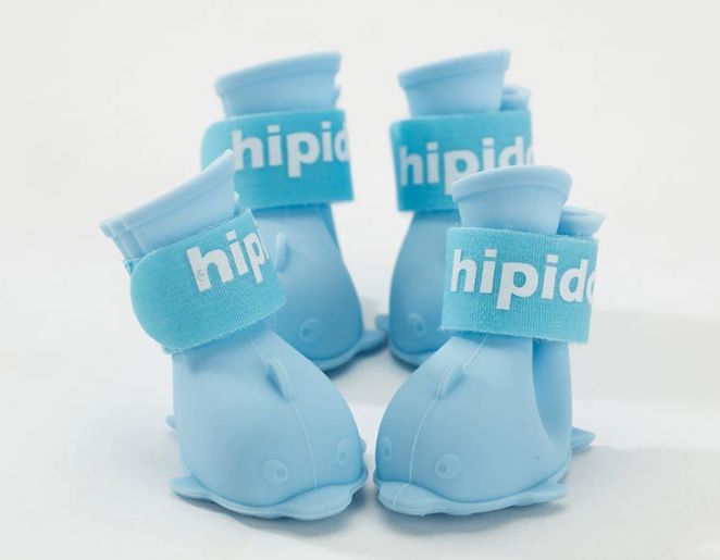 Petit dauphin bleu