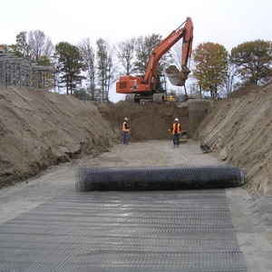 120-120kn Polyester geogrid vật nuôi hai trục geogrid cho dốc bảo vệ đường sắt xây dựng đường - Product Image 1