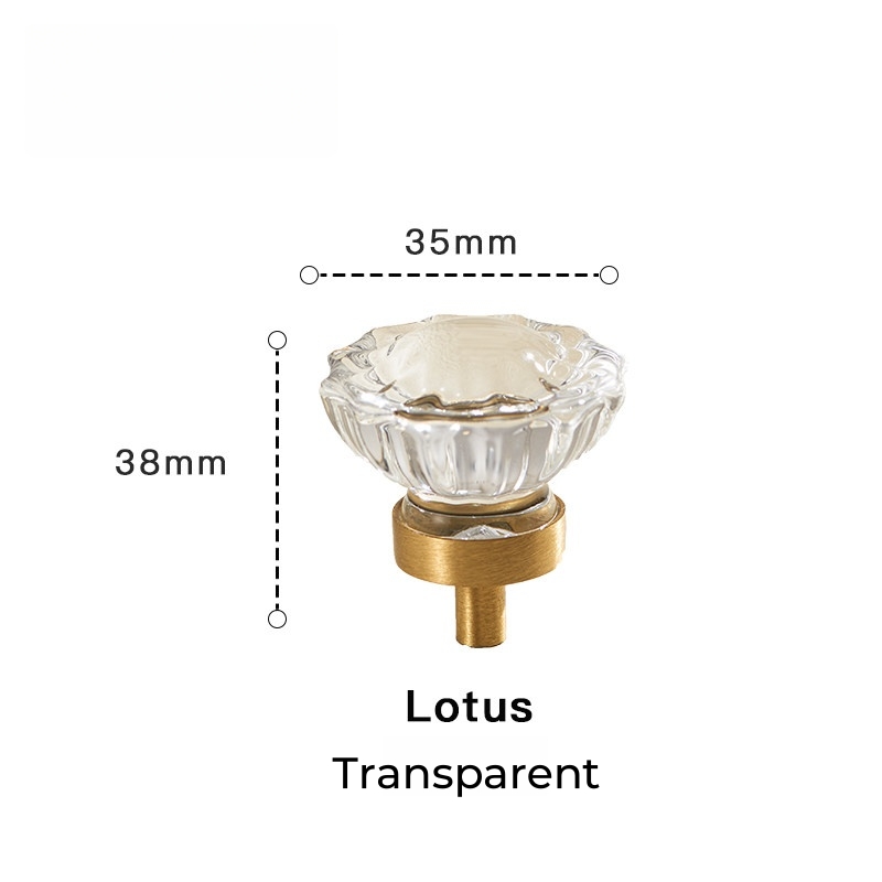 Lotus transparent