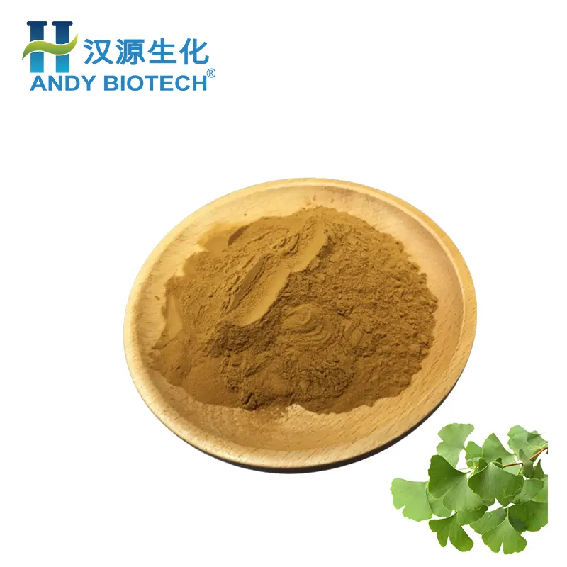 Source Factory Supply flavonoids ginkgo biloba extract