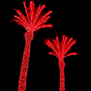 マトリックスプログラムクリスマス屋外ランドスケープデコレーションハロウィンIP67 LED RGBピクセルWS2811ストリングPVCココナッツパームツリーライト - Product Image 4
