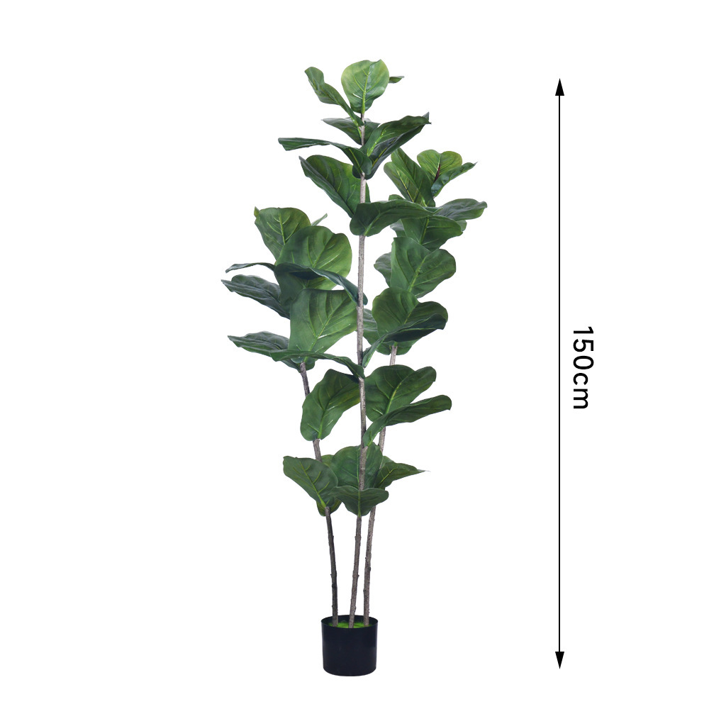 150cm