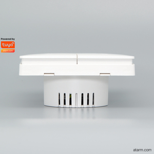 Q812Z-LN Zigbee <span class=keywords><strong>L</strong></span> + <span class=keywords><strong>N</strong></span> 2gang ışık anahtarı-Tuya akıllı Zigbee anahtarı