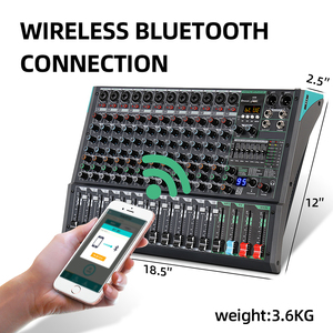 Rayco PA12-Mezclador de audio profesional de 12 canales, consola de iluminación de vídeo, entrada de ordenador MP3, 99 efectos de reverberación incorporados, mezcla de audio - Product Image 6