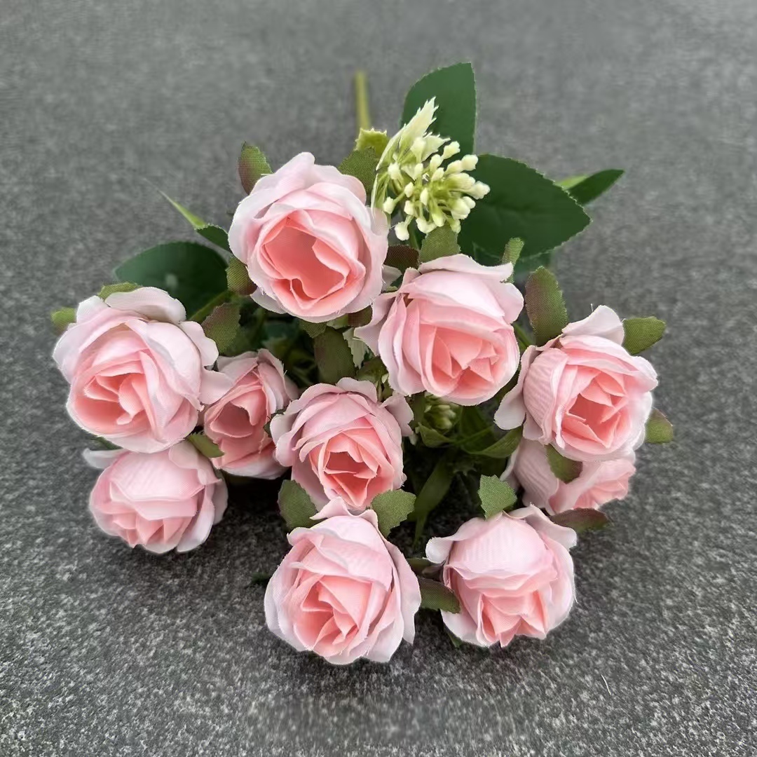 Rosa