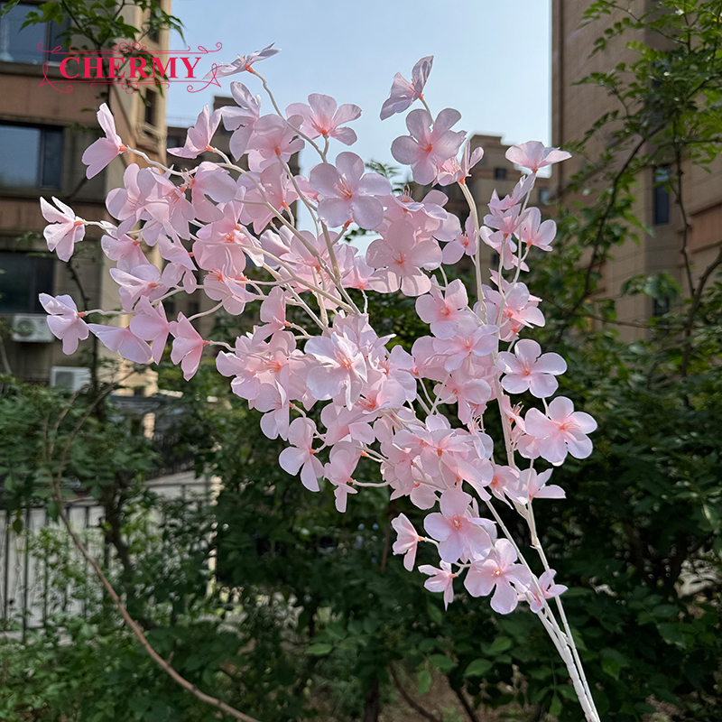 05 rosa