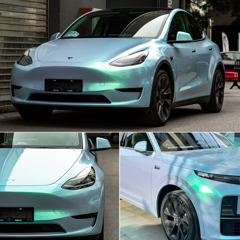 Caméléon blanc vert